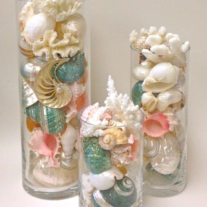 Beach Decor - Seashells, Coral and Starfish Arrangements  8", 10" and 12"