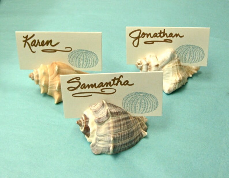 100 Seashell Place Card Holders Beach Weddings Beach Etsy