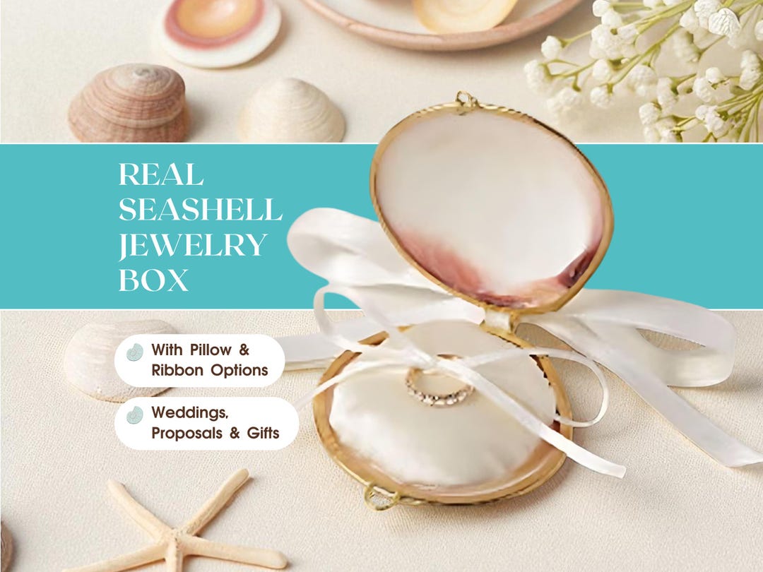 Seashell Jewelry Box With Ribbons – Real Shell Ring Box for Beach ...