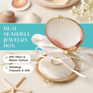 Seashell Jewelry Box with Ribbons – Real Shell Ring Box for Beach Wedding Proposal, Bridesmaid Gift Ideas, Nautical Ring Bearer Keepsake