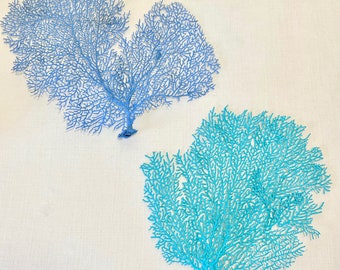 Beach Decor - Natural Dried Hand-Painted Sea Fan - 8" - Choose Blue or Turquoise