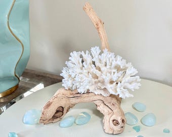 Coral & Grape Wood Branch Display – (6"w x 5"d x 7"h) - Genuine Coral Coastal Display Shelf Centerpiece