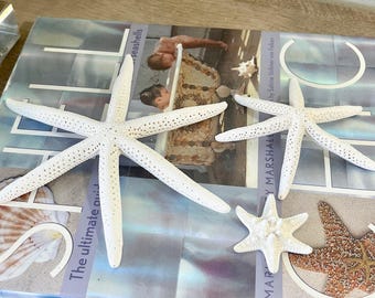 3 Six Arm Real Starfish (2",5",8") wedding coastal decor
