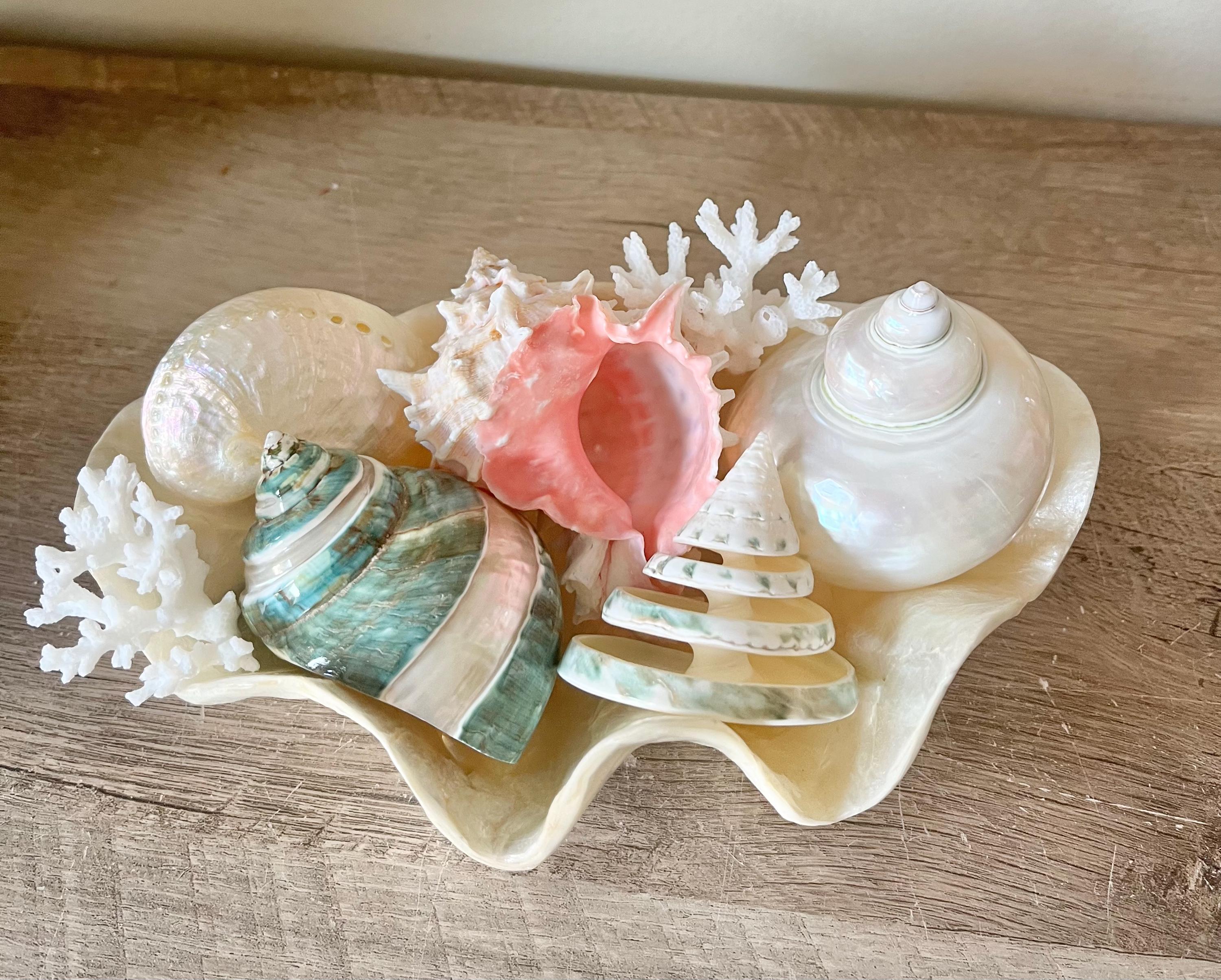 Capiz Shell Bowl With Sea Life - Seashells-beach Decor-sea Shell Decor ...
