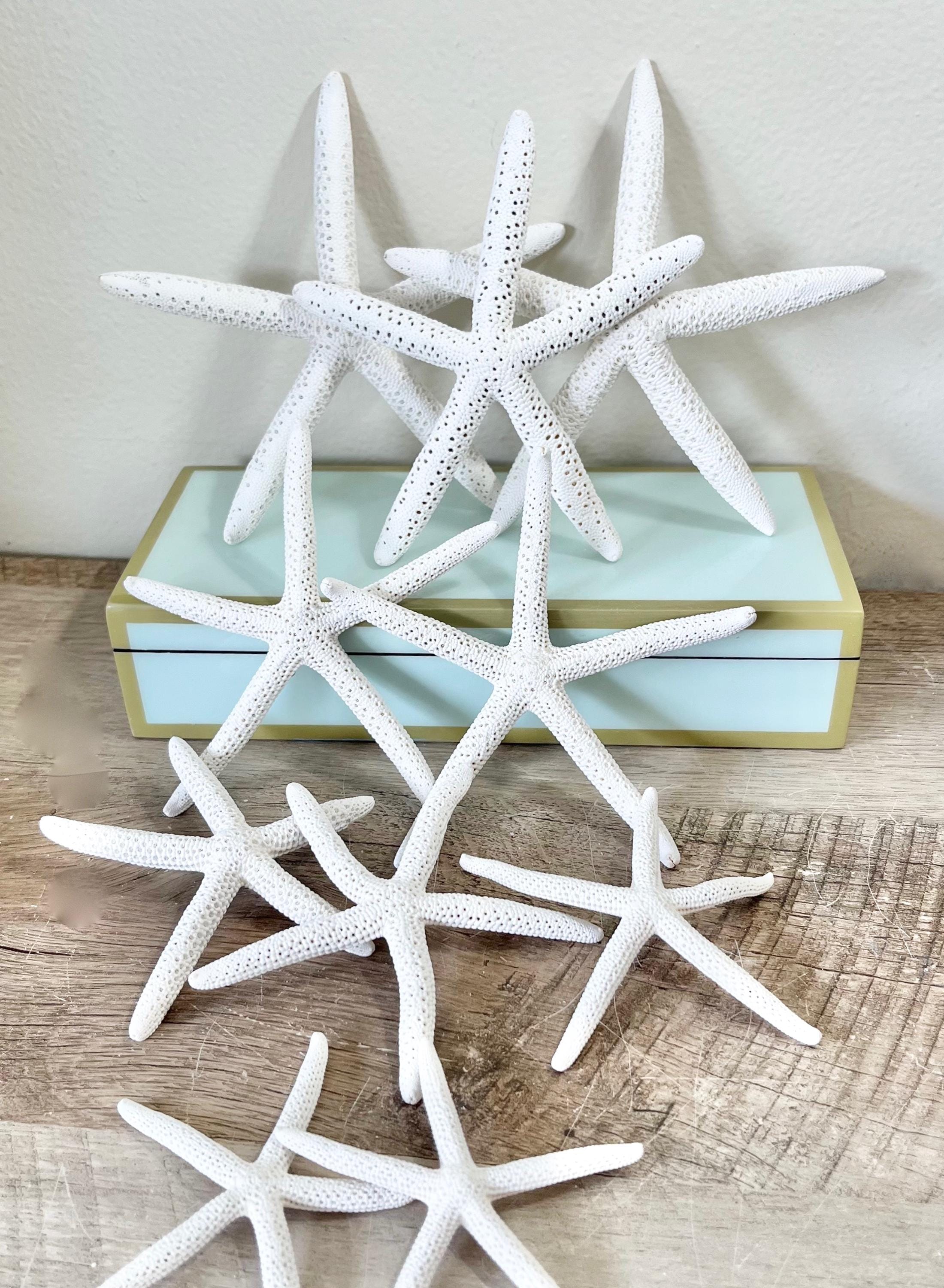 BLEACHED NATURAL STARFISH, Beach Wedding Decor, Linkia Pencil