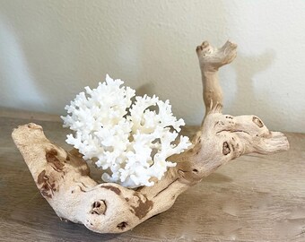 White Lace Coral & Grape Wood Branch – Coastal Display Centerpiece 8.5"wide