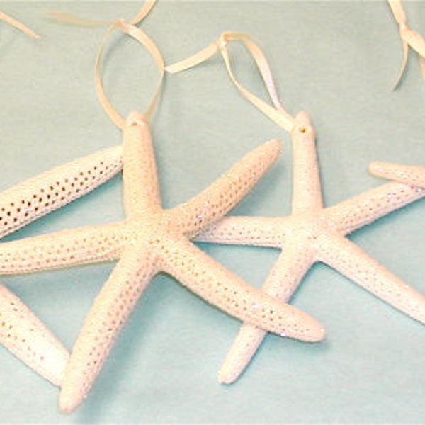 Beach Christmas Ornaments - Set of 12 - 4"-6" Natural Starfish - 6 Ribbon colors or Jute - star fish coastal Xmas ocean