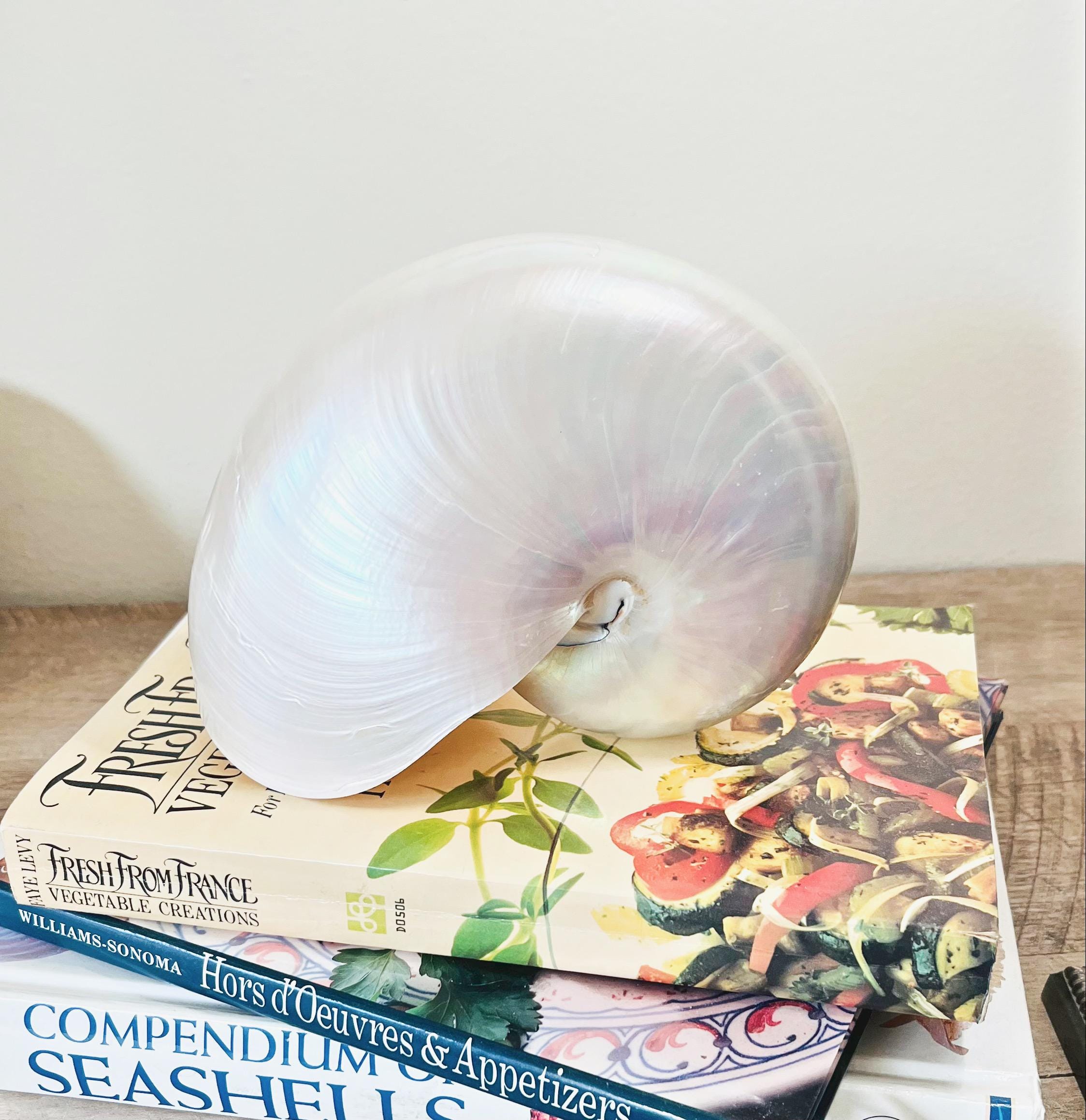 SeashellCollection - Etsy 日本