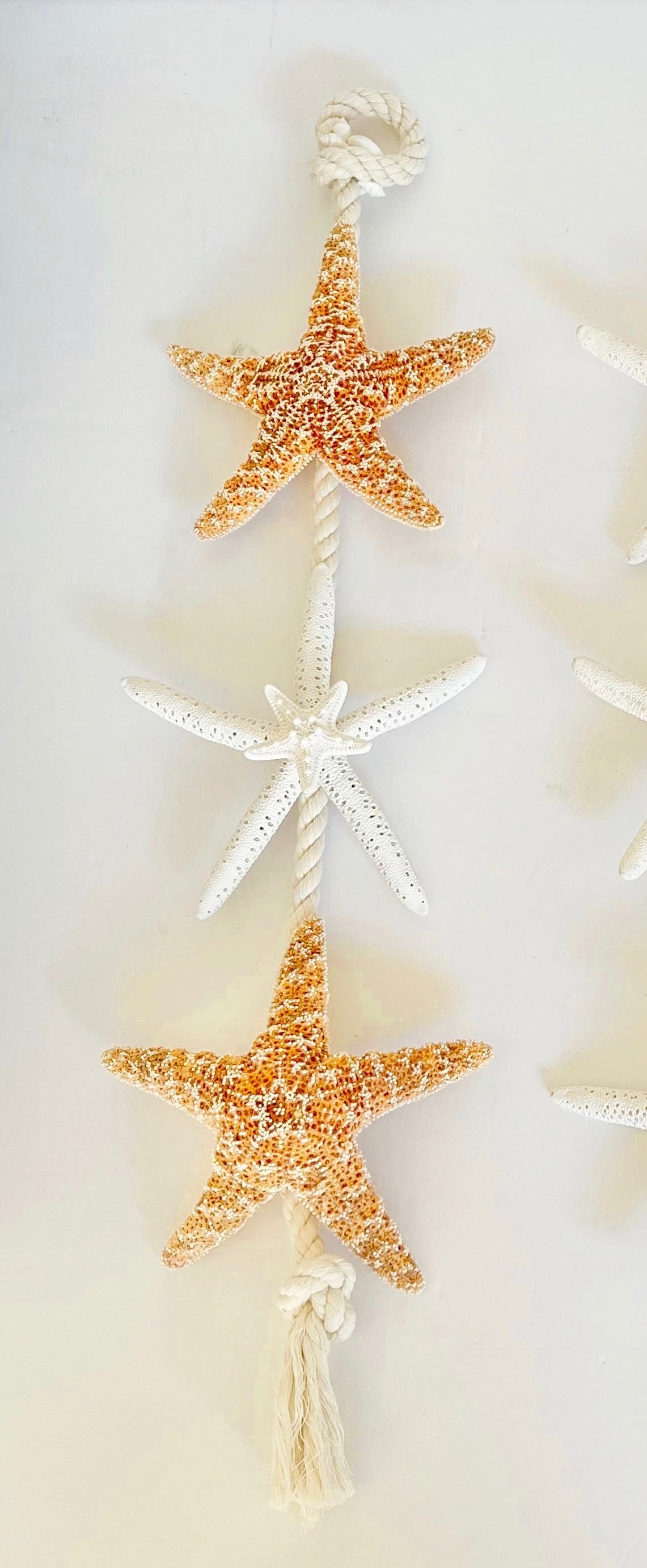 Natural Starfish Coastal Wall Hanger - Beach Decor - Etsy