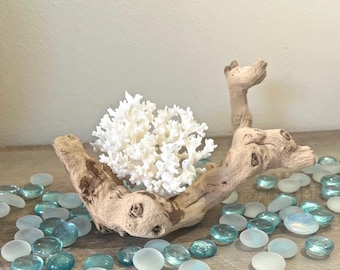 White Lace Coral & Grape Wood Branch – Coastal Display Centerpiece 9"wide