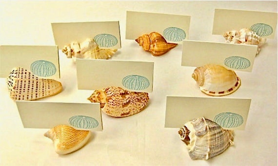 50 Seashell Card Holders Beach Weddings Showers Dinners Sea Shells Place  Cards Dessert Table Cards Nautical 