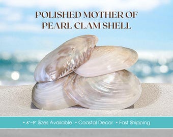 Polished Mother of Pearl Shell – CHOOSE YOUR SIZE, Real Clam Shell for Beach Wedding Decor, Nautical Trinket Dish, Coastal Bathroom Styling