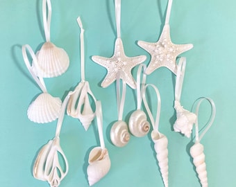 2Pcs Sea Shells for Decorating Shells Zodiac Decoration Sea Shell Ornaments  Shell Decoration (Random Style)