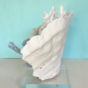 Coral Natural Coral Creation on Lucite Stand real coral coastal beach decor nautical 35th anniversary gift image 3