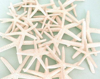 Starfish - 50 - 4"-5" Natural White Finger Starfish - Bulk seashells, bulk starfish, craft starfish, star fish