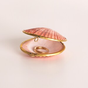 Shell Box Natural Seashell Ring Box Beach or coastal Wedding, Perfume Holder, pill box, jewelry box image 2