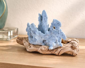 Natural Blue Coral & Grape Wood Branch – Coastal Display Centerpiece 9.5"wide