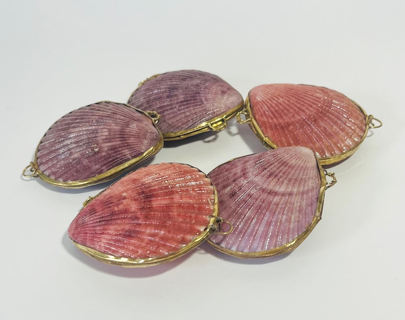 Shell Box Natural Seashell Ring Box Beach or coastal Wedding, Perfume Holder, pill box, jewelry box Purple