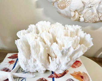 Authentic Lettuce Coral Centerpiece - Beautifully-Shaped Coral for Display  - coastal beach decor 35th anniversary gift