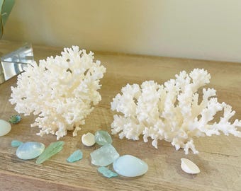 2 Natural Lace Corals - Real Corals Coastal Decor 35th Anniversary Gift Nautical Coral Centerpiece