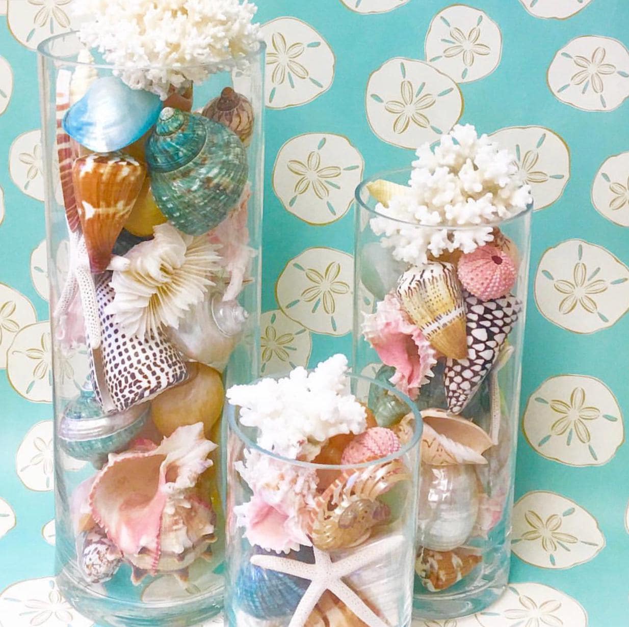Seashell Coral Glass Vase