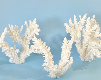 Beach Decor - Natural Branch Corals - Sold Individually - real coral coastal beach decor nautical 35th anniversary gift