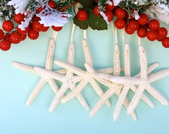 Beach Christmas Ornaments - Set of 6 Starfish Ornaments - 4"-5" Natural or Clear Glitter - 6 Ribbon/Jute Choices - Beach Wedding Favors