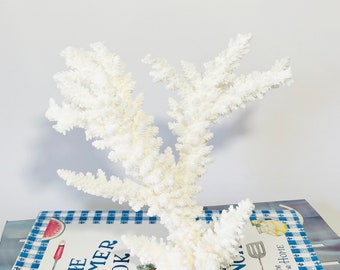 Beach Decor - Natural Branch and Table and Corals - Sold Individually - real coral coastal beach decor nautical 35th anniversary gift