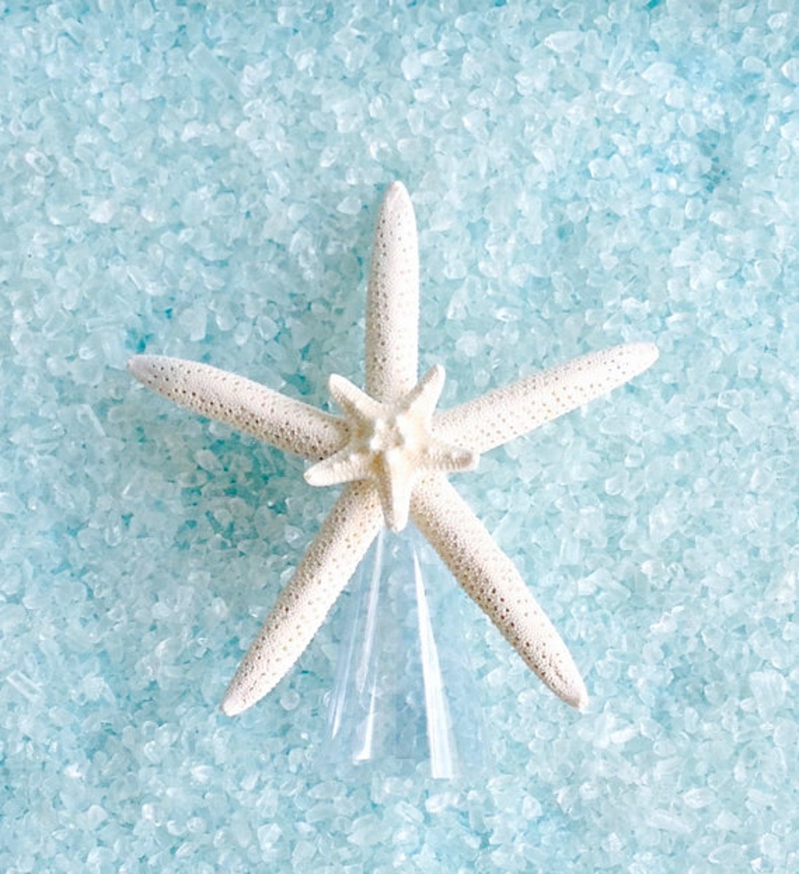 Starfish Tree Topper