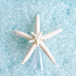 Starfish Christmas Tree Topper - Real Starfish Natural or Glittered - Coastal Xmas Decoration/Nautical/Beach Decor/Real Star fish