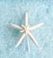 Starfish Christmas Tree Topper - Natural or Glittered - Coastal Xmas Decoration/Nautical/Beach Decor