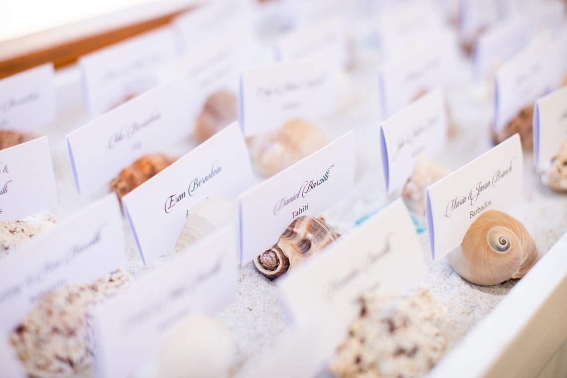 100 Seashell Place Card Holders Beach Weddings Beach Etsy