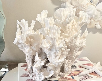 Authentic Lettuce Coral Centerpiece-Beautifully-Shaped Coral for Display (9.5"w x 6"d x 9"h) coastal beach decor 35th anniversary gift