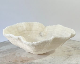 Natural Bowl Coral - Beach Decor-Real Coral-Coastal Style-genuine coral