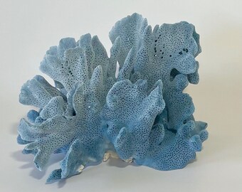 Natural (Real) Blue Corals  -  Choose 5"-7", 7"-10" or 10"-12" - Coastal Decor 35th Anniversary Gift Real FREE SHIPPING