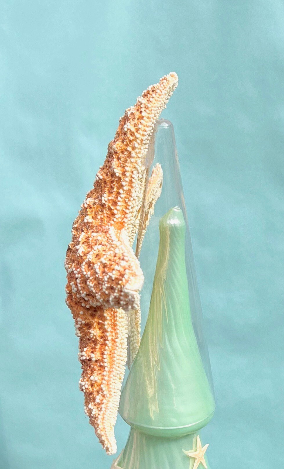 Fish Tree Topper Starfish Christmas Tree Topper - 2 Sizes - Christmas Decoration Beach ...