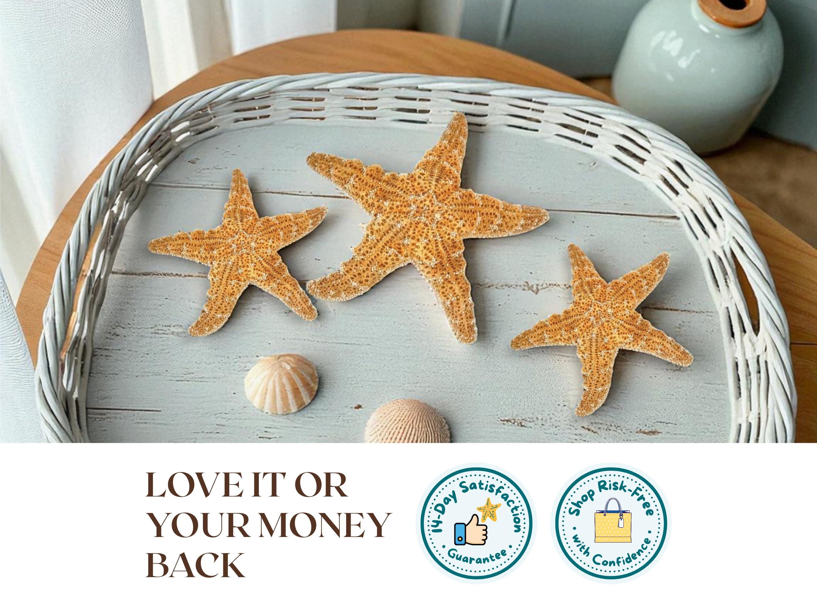 Estrellas de mar de azúcar auténticas: elige tu tamaño. Estrellas de mar  naturales para decorar bodas en la playa, decoración náutica para fiestas,  centro de mesa con temática oceánica. - Etsy México, image size:2667x2000