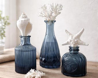 Set of 3 Glass Bottles with Natural Sea Life – Coastal Bathroom Decor