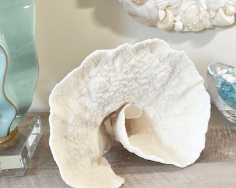 Natural Cup Coral - coastal beach decor nautical 35th anniversary gift Coral Centerpiece