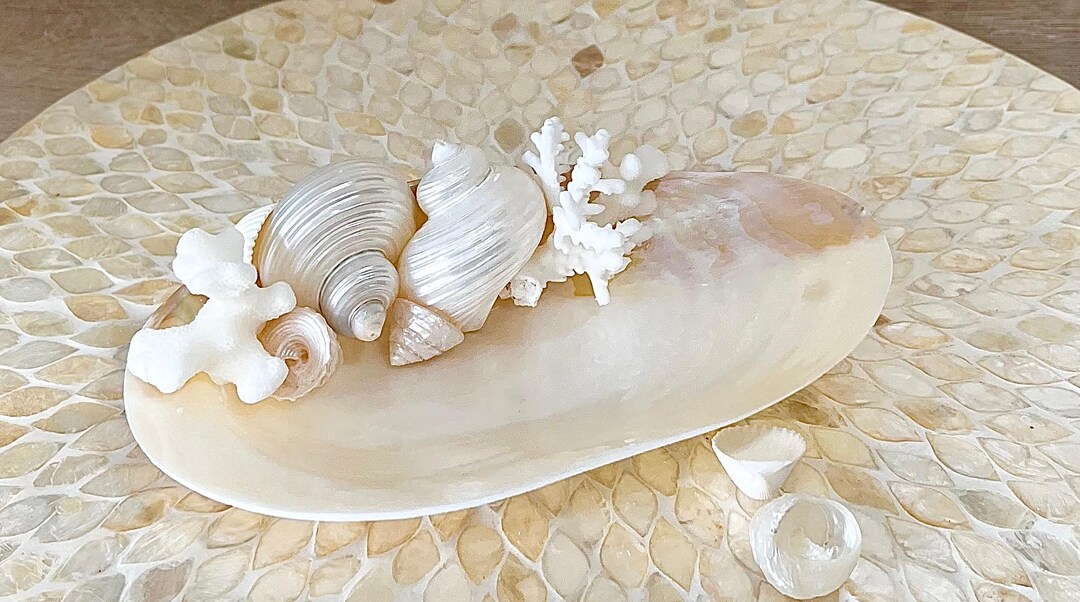 Seashell Clam Shell Plate - Coastal Jewelry Tray, Beach Decor - Etsy