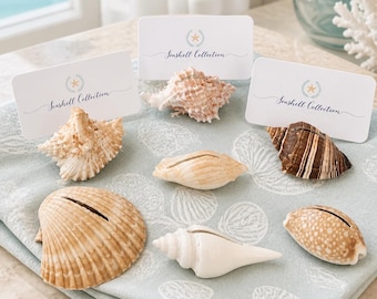 30 Seashell Place Card Holders - Beach Coastal Wedding Shower Decor