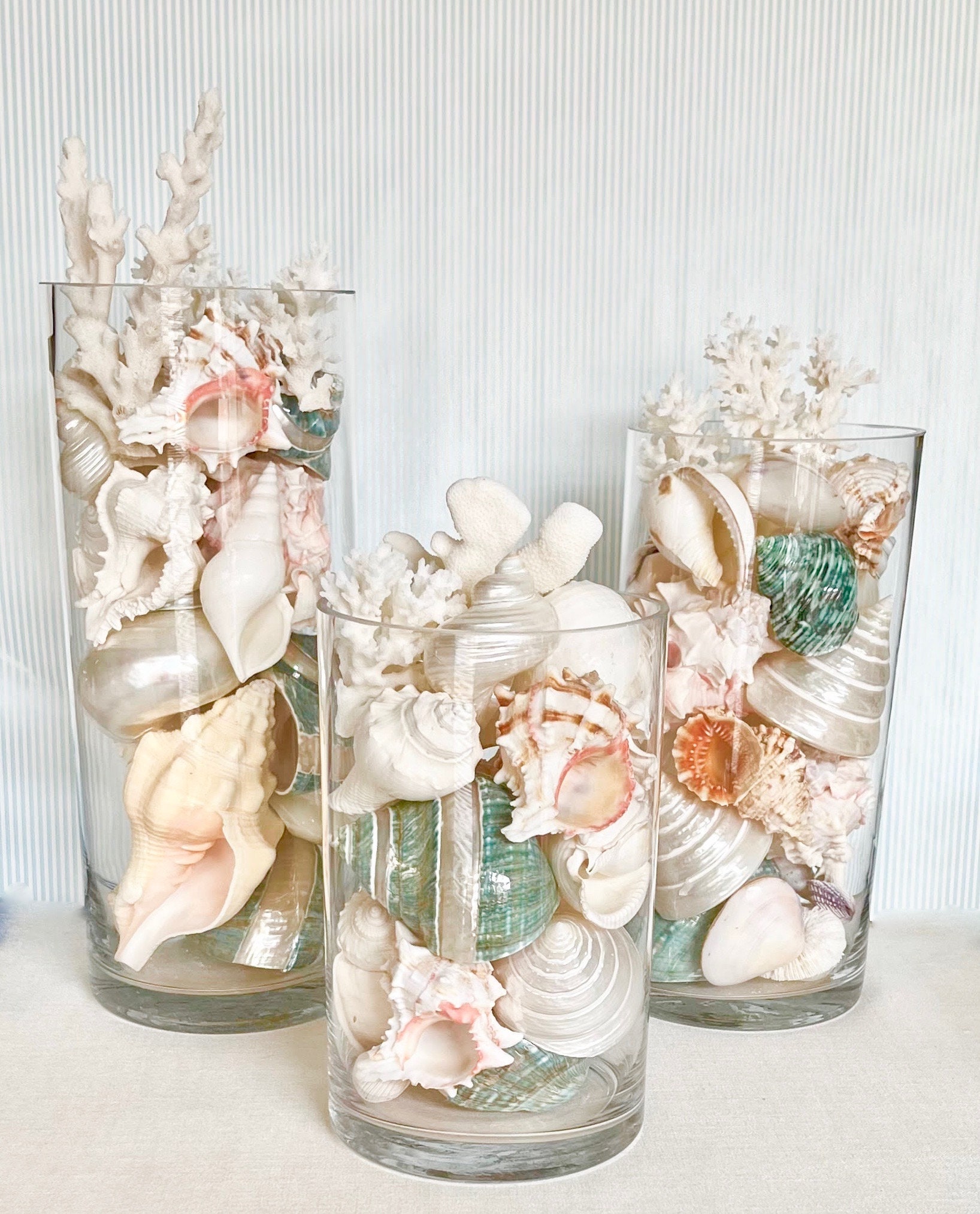 Handcrafted Sea shell Jar Beach Inspired Home Decor with Natural Sea shells
