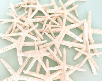 Starfish - 10 Natural Finger Starfish - 4"-5" bulk starfish, beach wedding decor, star fish, beach party decor