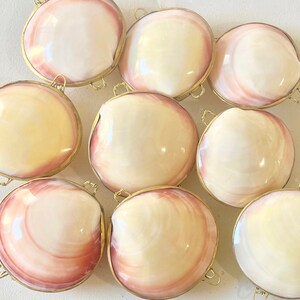 May include: Nine round, decorative boxes made of natural seashells with brass hinges and clasps. The shells are a pale pink and white with a pearlescent sheen.