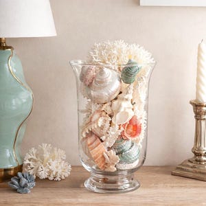 Coastal Home Decor Real Seashells, Coral and Starfish Arrangement