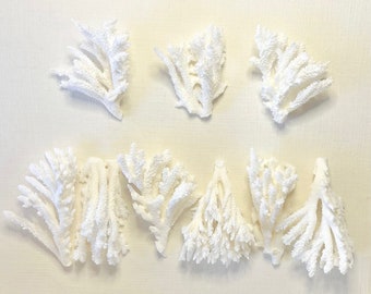 Coral - Natural Table Coral - Sold Individually 4"-5" - coastal beach decor real coral pieces beach wedding bathroom decor