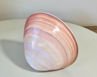 Large Polished Pink and Purple Shell 5" - beach coastal decor display shell