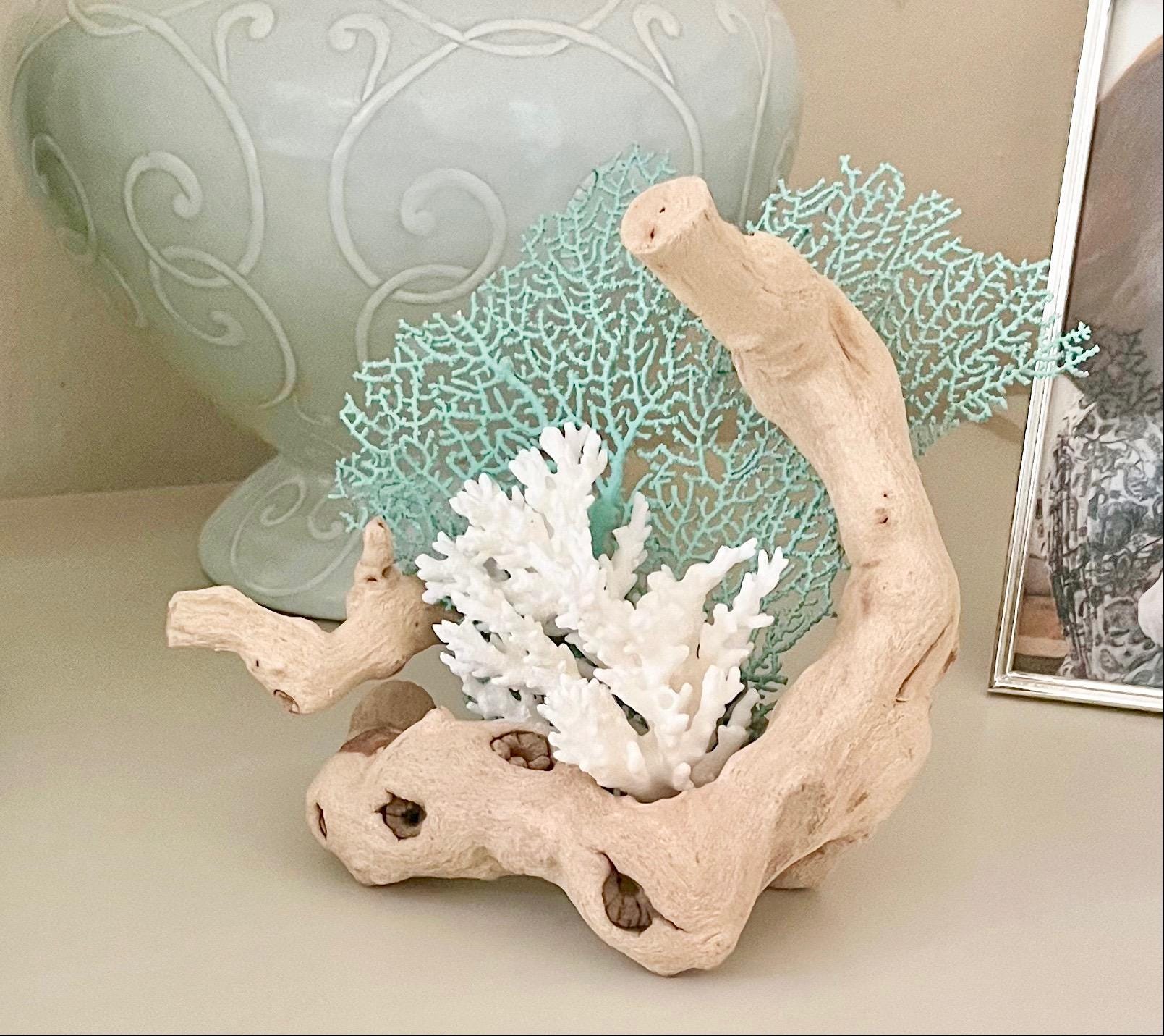 SeashellCollection - Etsy 日本