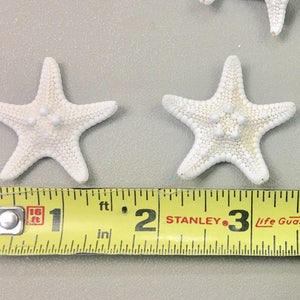 Starfish Tiny Knobby Starfish 12 Set of 10 Beach Decor Wedding Beach Parties Craft Shells Bulk Shells Star Fish image 2