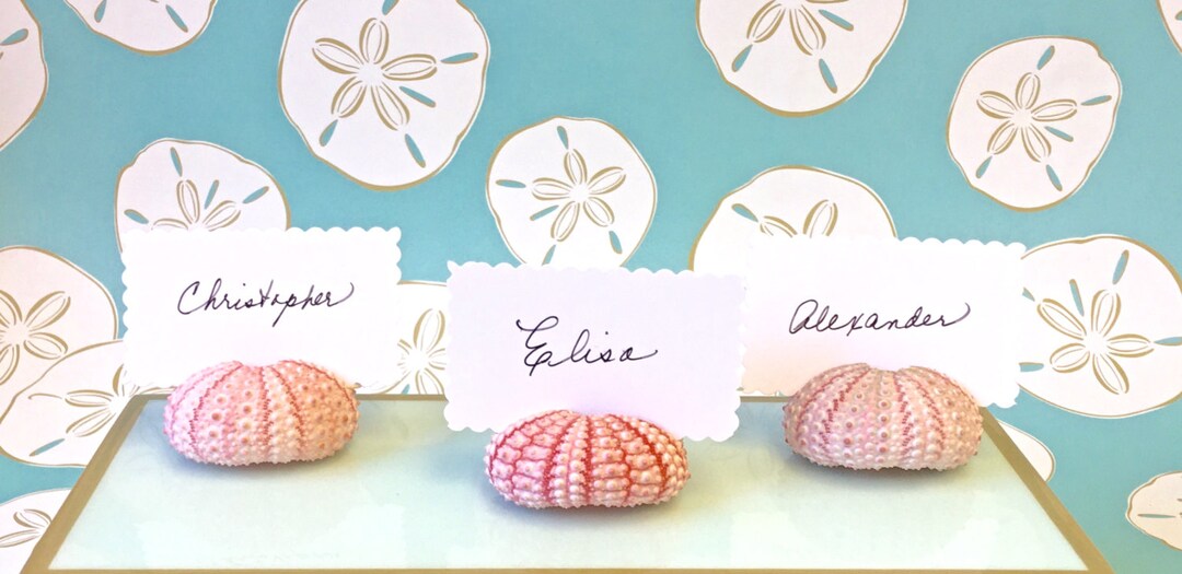10 Seashell Place Card Holders Natural Pink Sea Urchins Beach Weddings